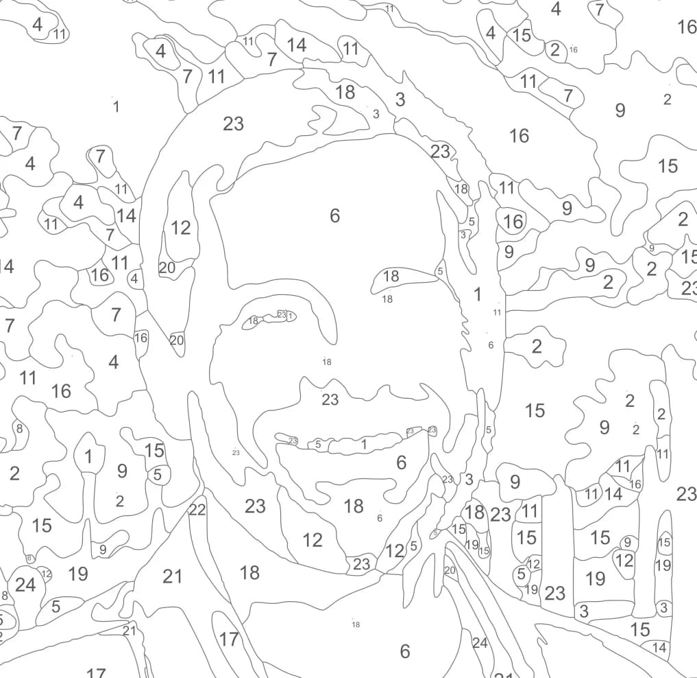 Close-up of the outline: the man's face in thin grey lines with a color number in every area